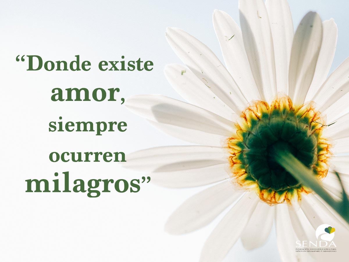 fundacion-senda-andalucia-amor
