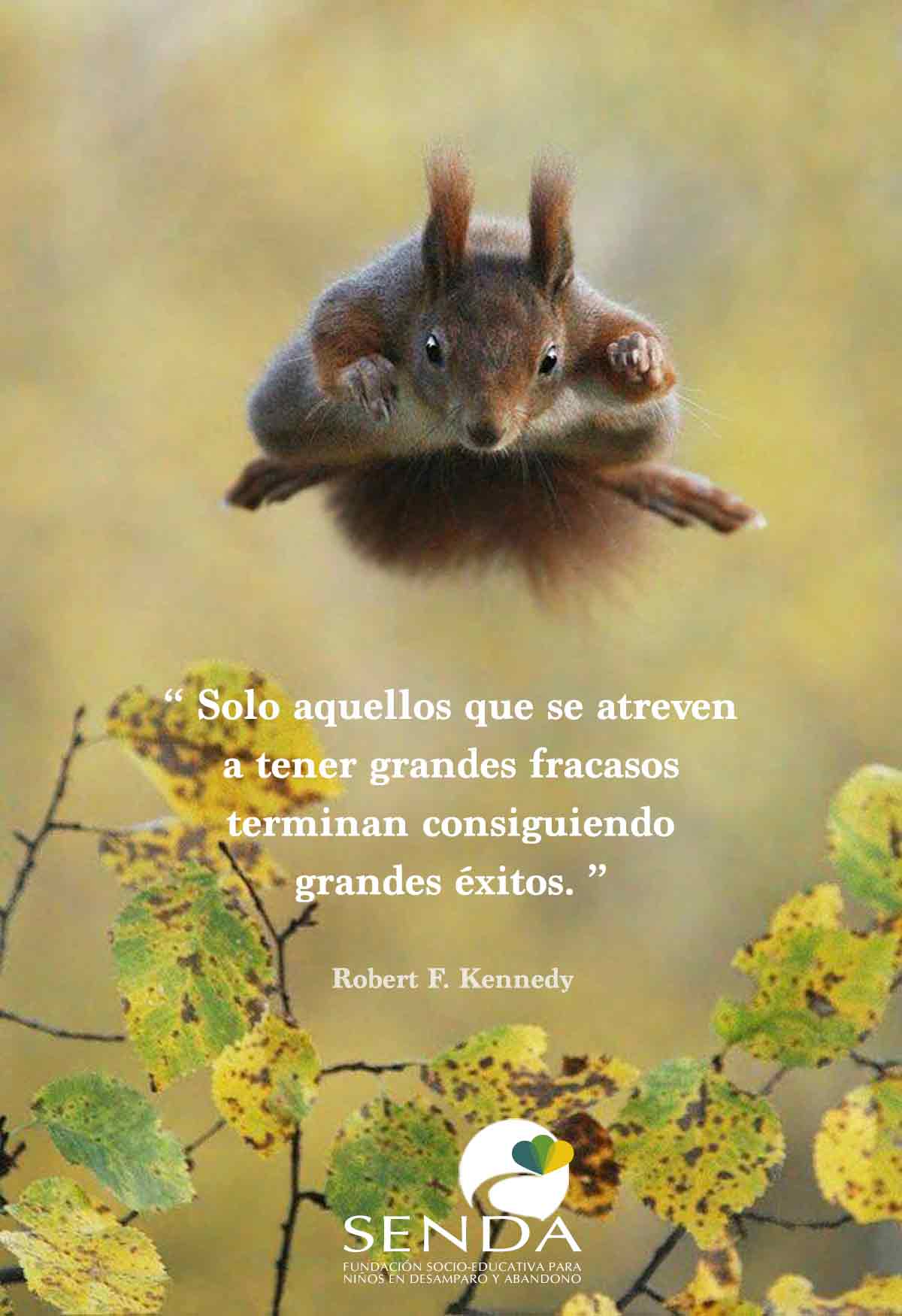 fundacion-senda-andalucia-fracasos-exitos