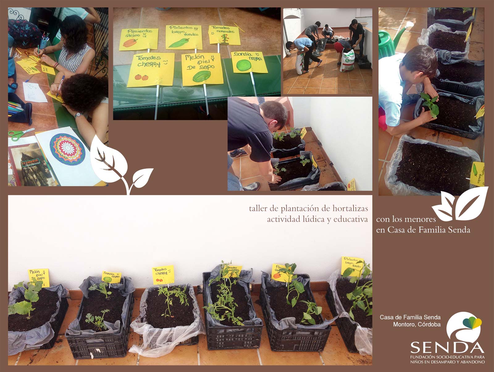 talleres educativos hortalizas Casa de Familia Senda Montoro